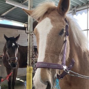 2025.01.18　無口をプレゼントして頂きました(*^_^*)