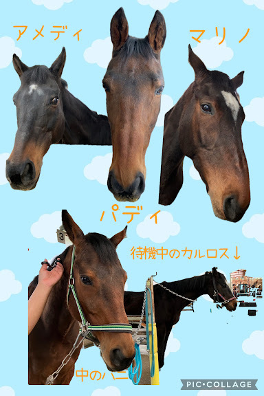2025.02.13　新しい仲間が増えました