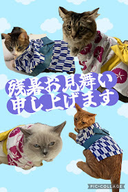 2025.02.13　新しい仲間が増えました