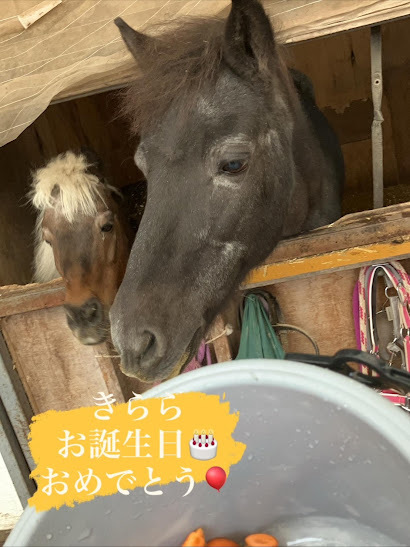 2025.02.13 新しい仲間が増えました