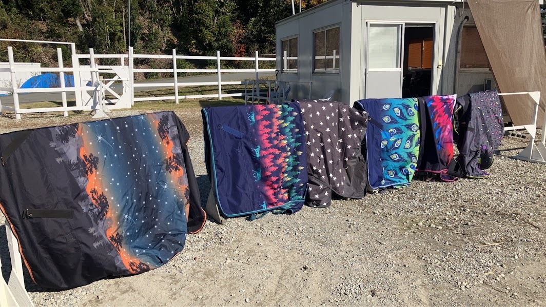 2025.02.13 新しい仲間が増えました