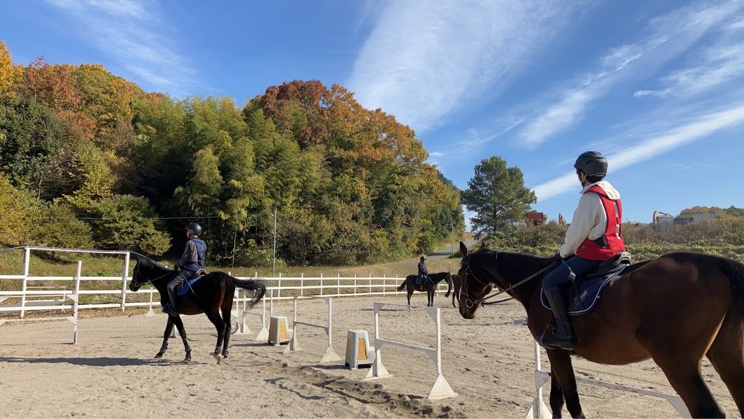 2025.02.13 新しい仲間が増えました